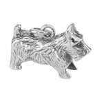 Sterling silver charms, front view